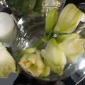 2009 02 17 016.JPG